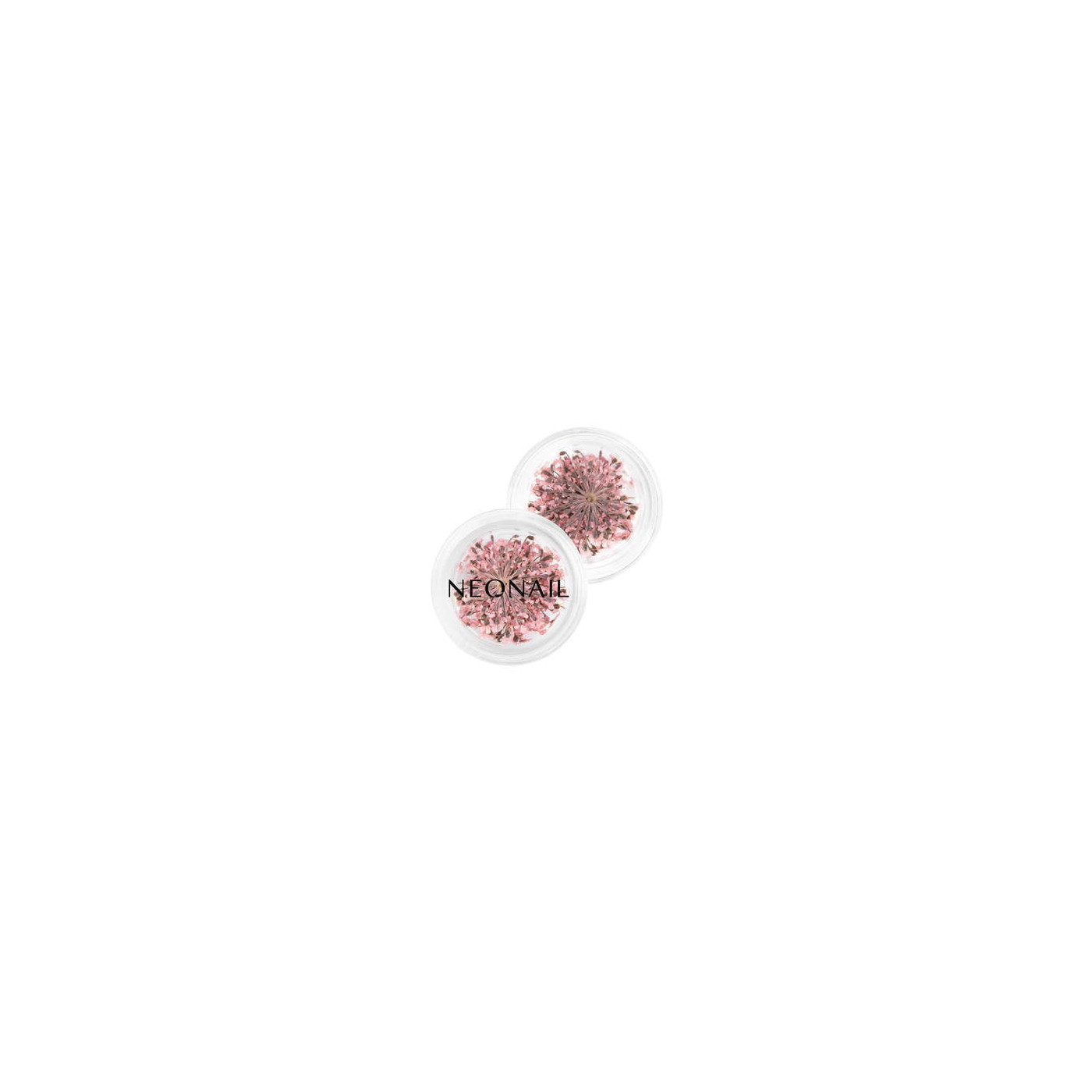 Dried flowers 01- Pink Dried flowers 01- Pink