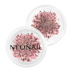 Dried flowers 01- Pink Dried flowers 01- Pink