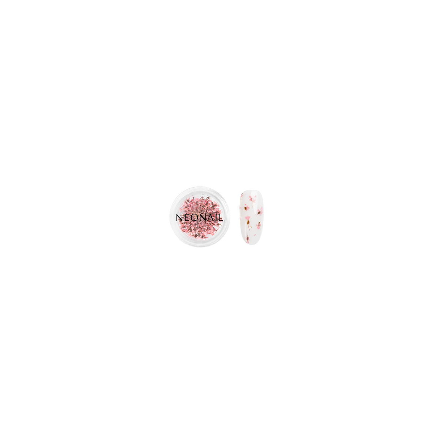 Dried flowers 01- Pink Dried flowers 01- Pink