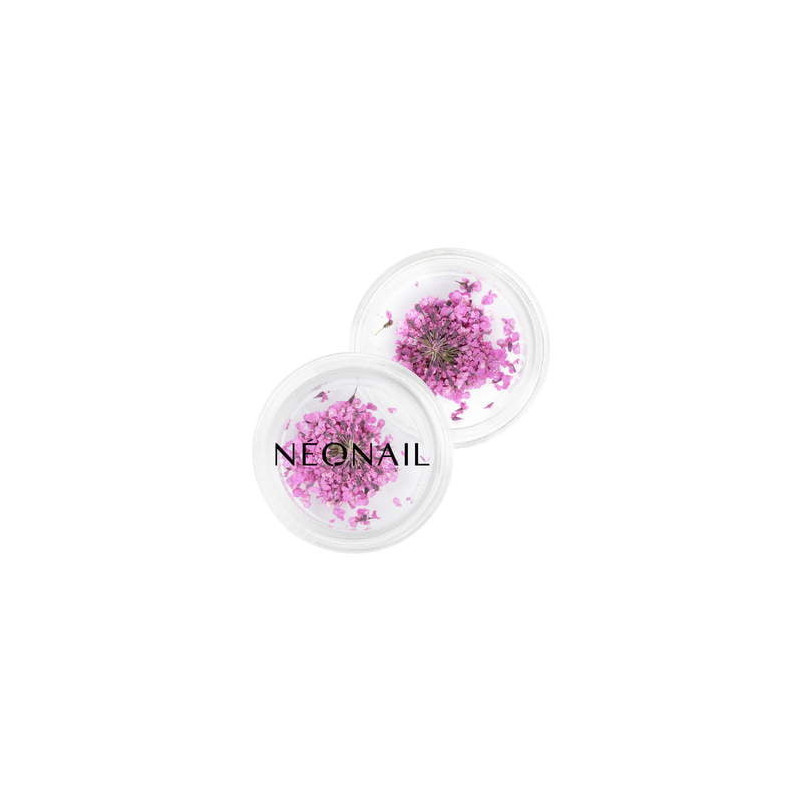 Dried flowers 02- Purple Dried flowers 02- Purple