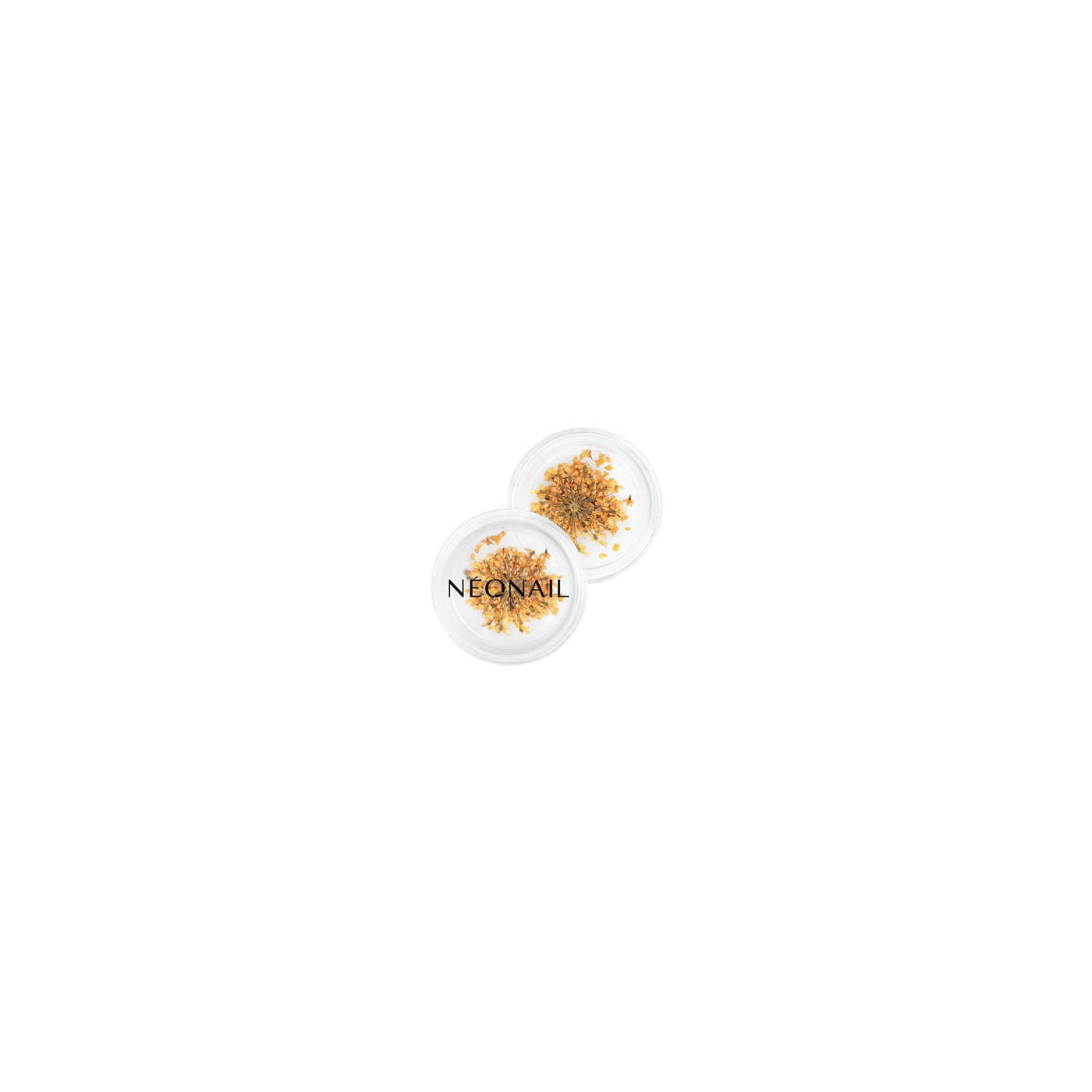 Dried flowers 03- Orange Dried flowers 03- Orange