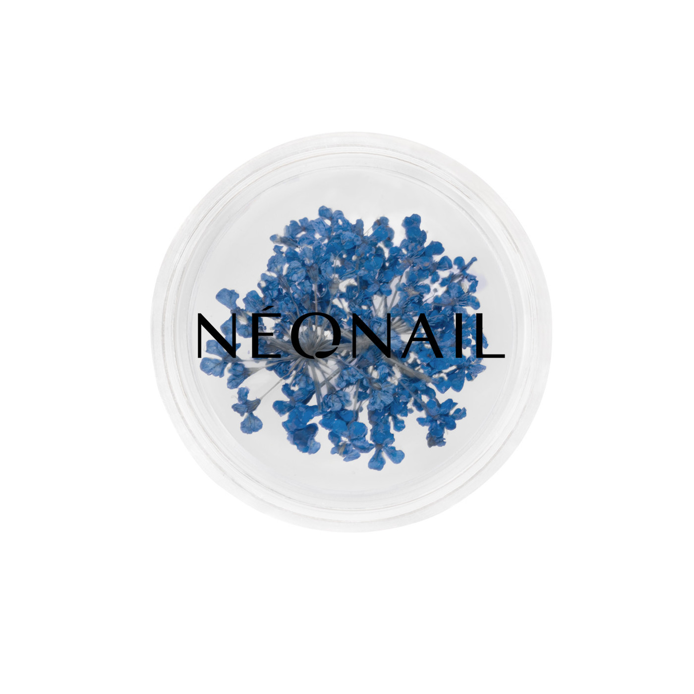 Dried flowers 04- Navy kaufen Dried flowers 04- Navy kaufen