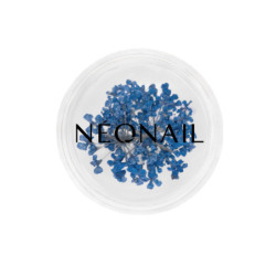 Dried flowers 04- Navy kaufen Dried flowers 04- Navy kaufen