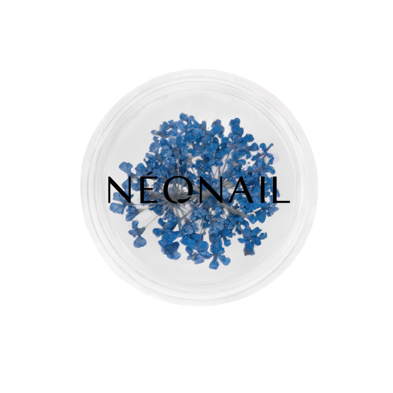 Dried flowers 04- Navy kaufen Dried flowers 04- Navy kaufen