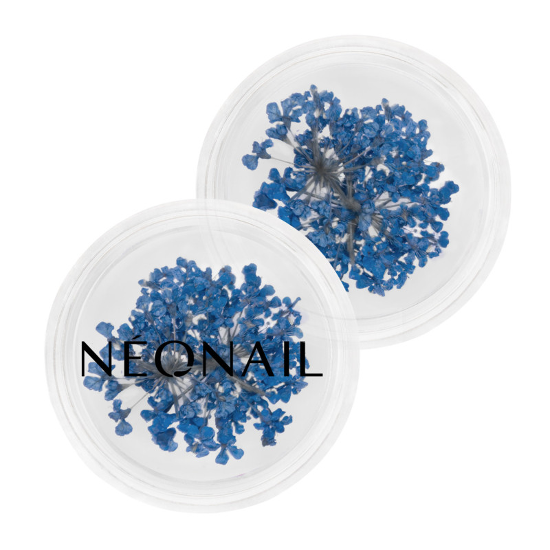 Dried flowers 04- Navy kaufen Dried flowers 04- Navy kaufen