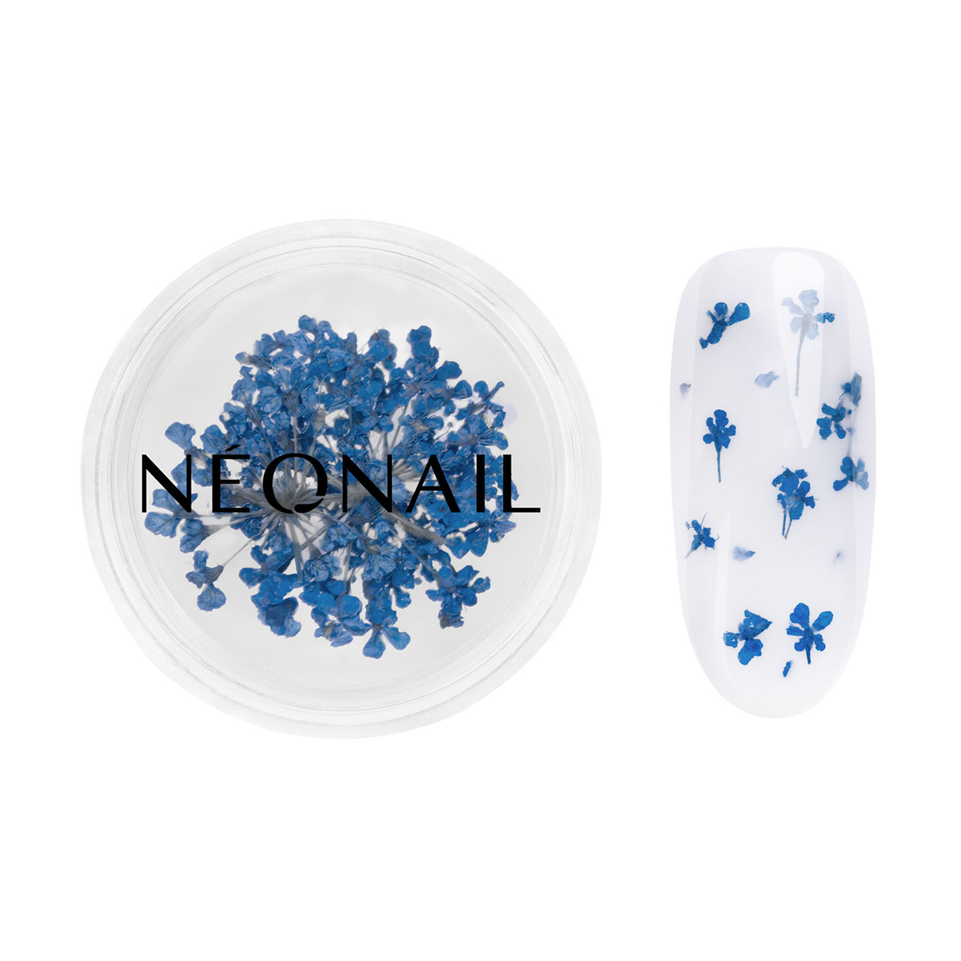 Dried flowers 04- Navy kaufen Dried flowers 04- Navy kaufen