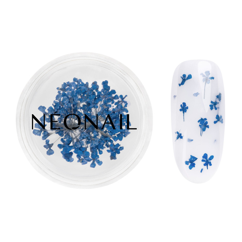 Dried flowers 04- Navy kaufen Dried flowers 04- Navy kaufen