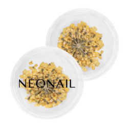 Dried flowers 07- Yellow kaufen Dried flowers 07- Yellow kaufen
