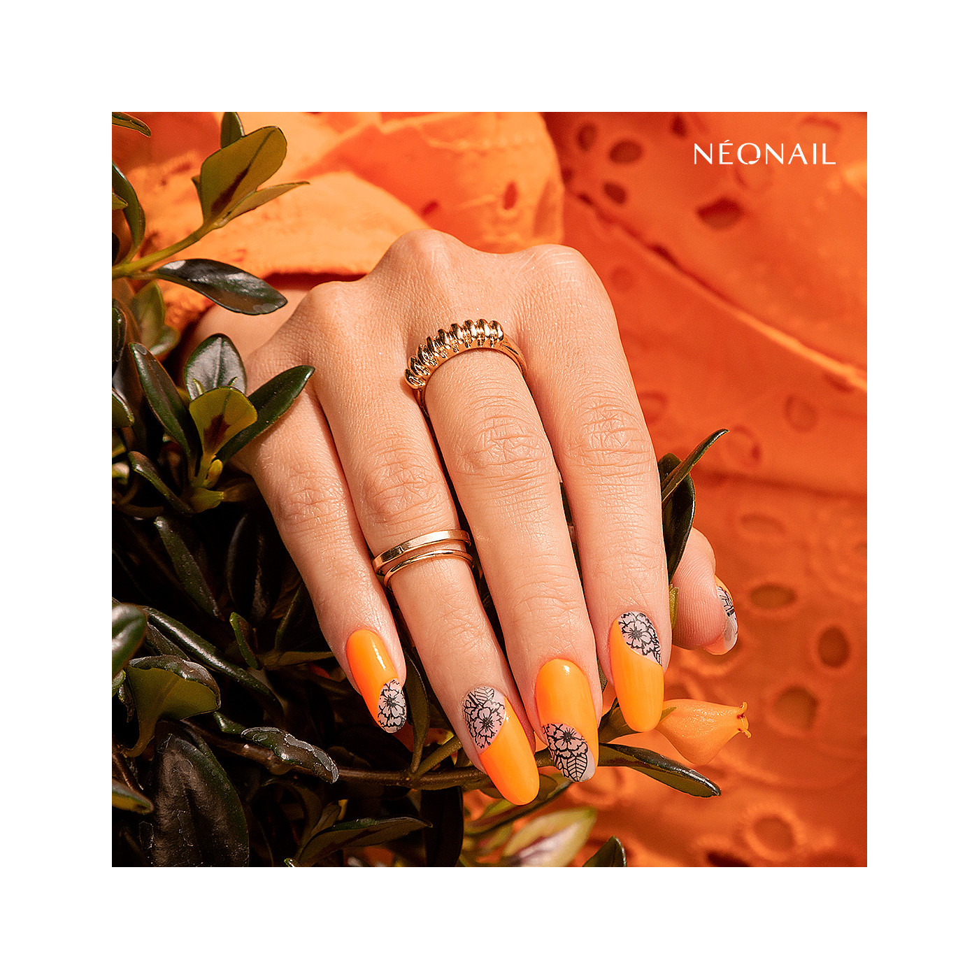 Stamping Platte 15 mit Blattmotiven kaufen Stamping Platte 15 mit Blattmotiven kaufen