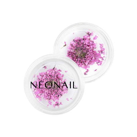 Dried flowers 02- Purple