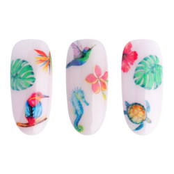 Water Sticker NN34 kaufen