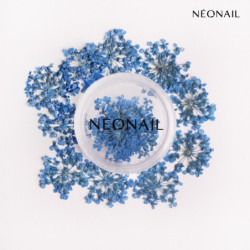 Dried flowers 04- Navy kaufen Dried flowers 04- Navy kaufen