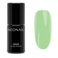 UV Nagellack 7,2 ml - Eternal Fantasies