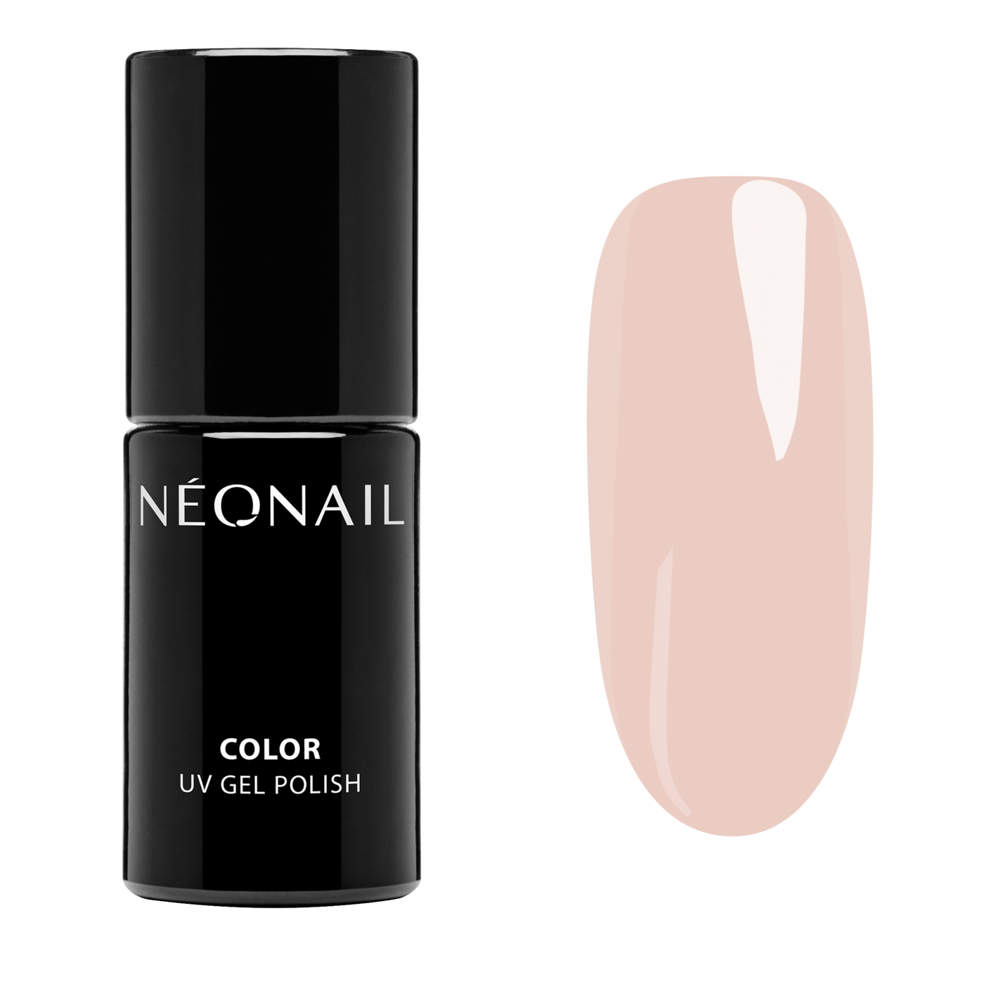 Polka Dots Bundle Polka Dots Bundle