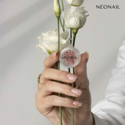 Dried flowers 01- Pink Dried flowers 01- Pink