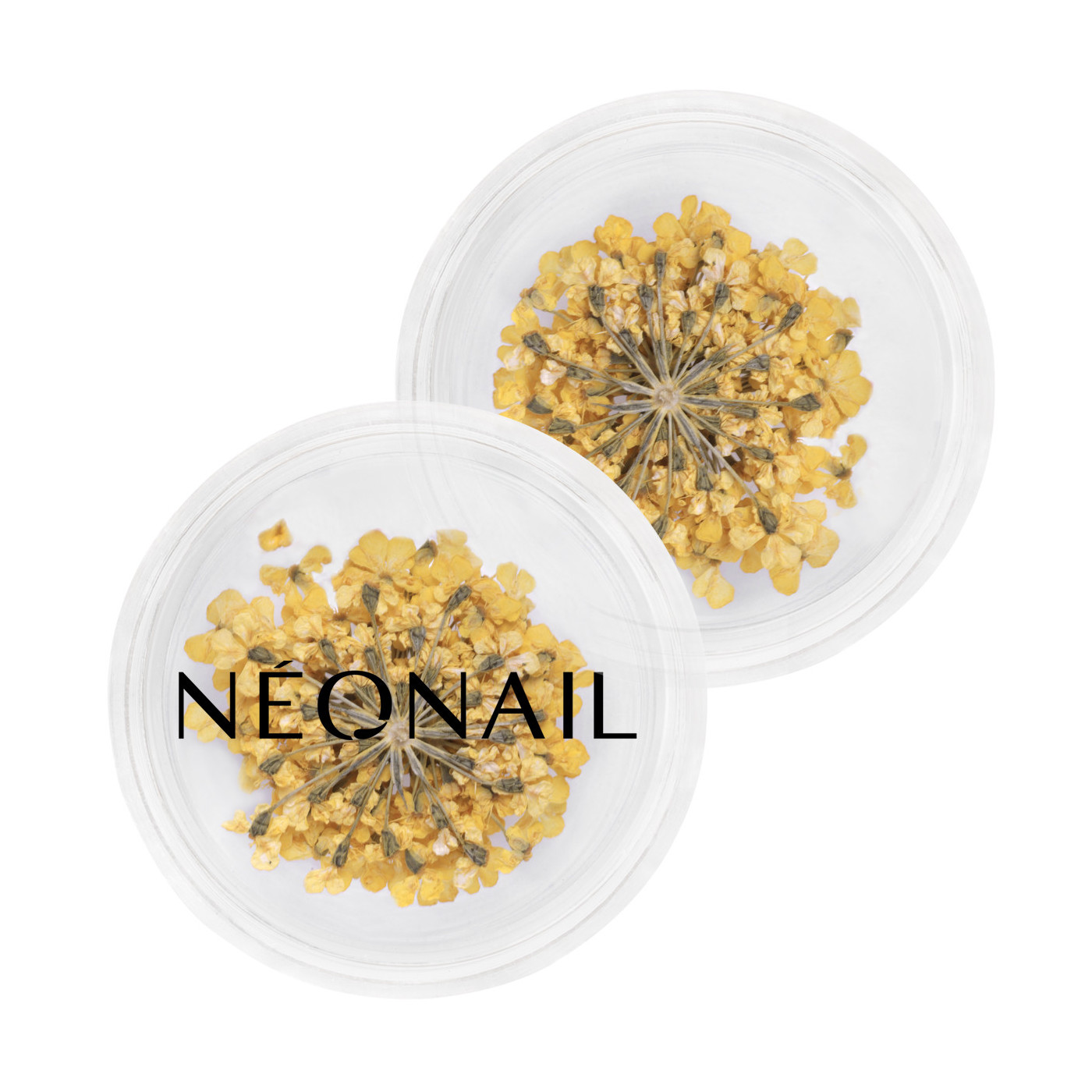 Dried flowers 07- Yellow kaufen