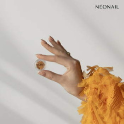 Dried flowers 03- Orange