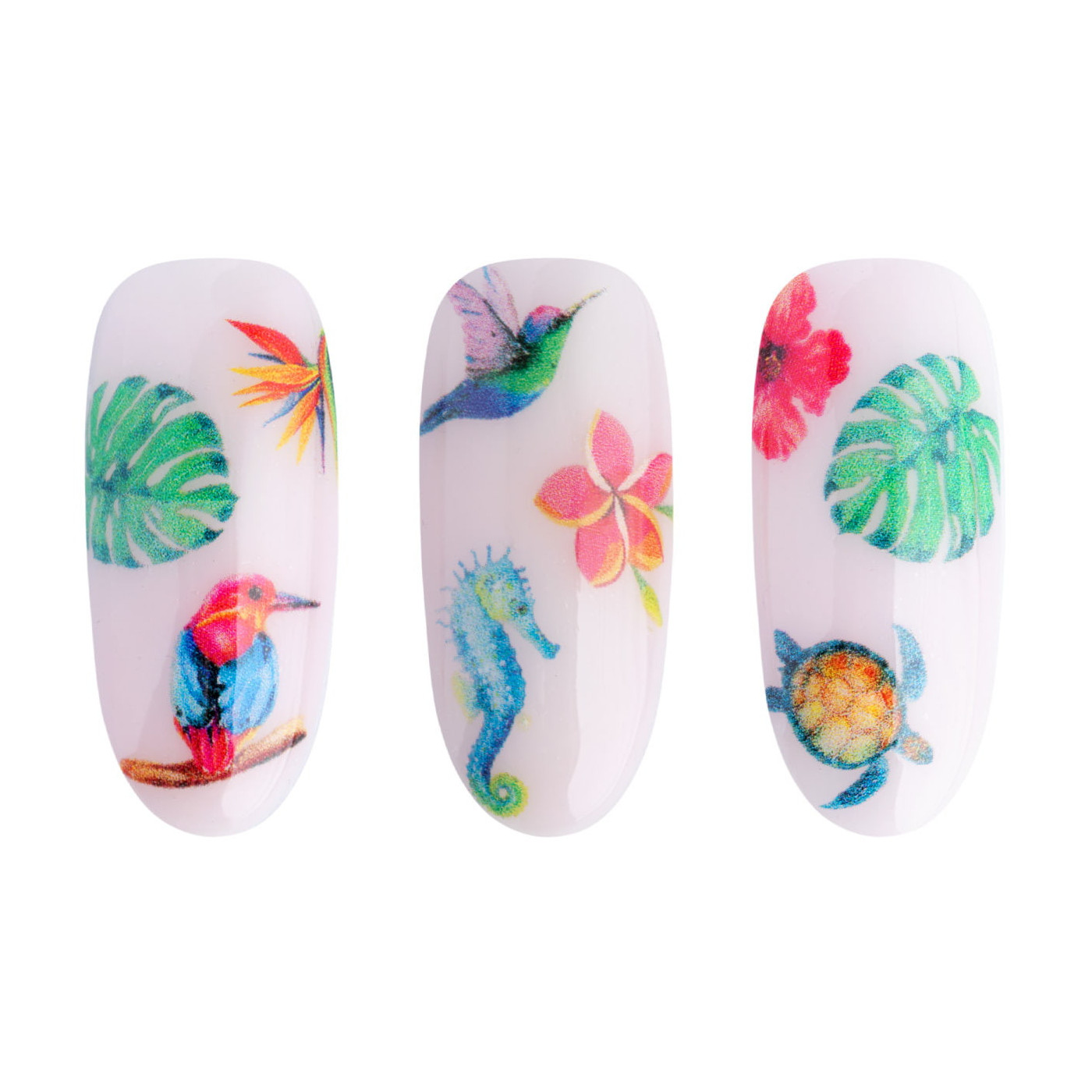 Water Sticker NN34 kaufen