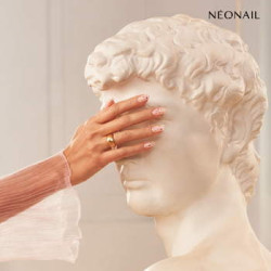 Dried flowers 01- Pink