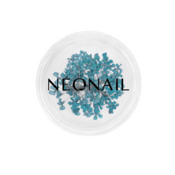 Dried flowers 05- Turquoise kaufen