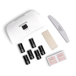 STARTER SET COLOR FAVORITES STARTER SET COLOR FAVORITES