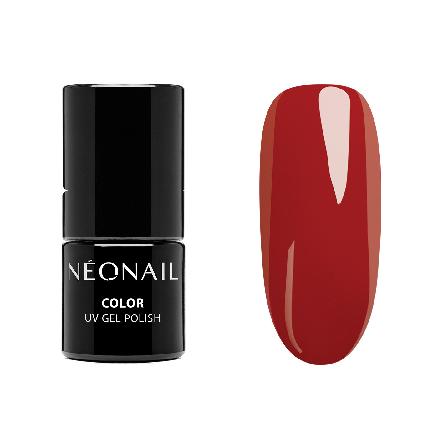 STARTER SET COLOR FAVORITES STARTER SET COLOR FAVORITES