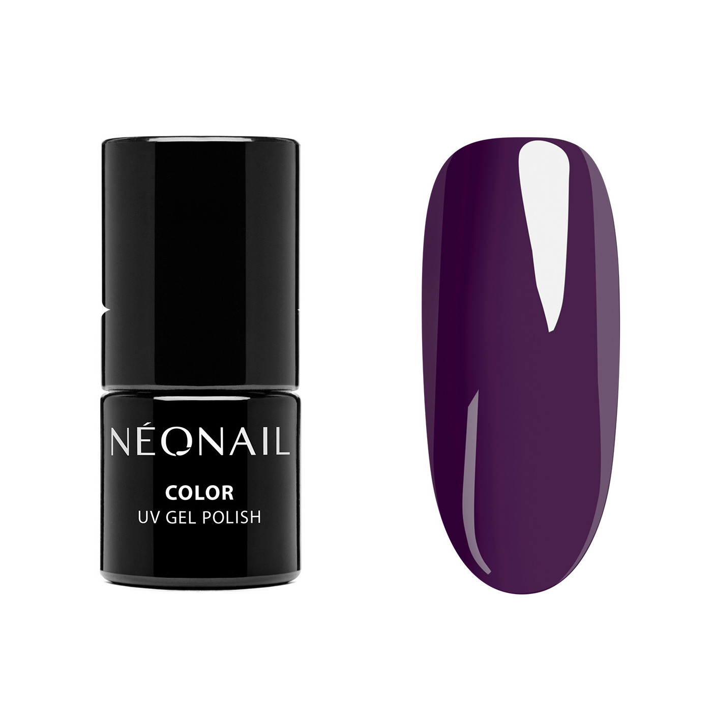 STARTER SET COLOR FAVORITES STARTER SET COLOR FAVORITES