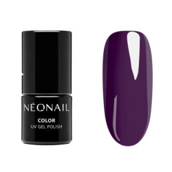 STARTER SET COLOR FAVORITES STARTER SET COLOR FAVORITES