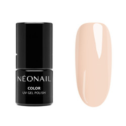 STARTER SET COLOR FAVORITES STARTER SET COLOR FAVORITES