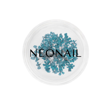 Dried flowers 05- Turquoise kaufen