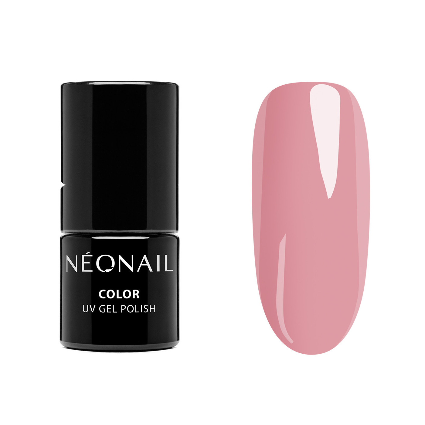 STARTER SET ESSENTIALS