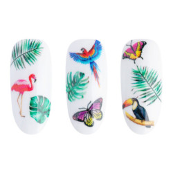 Water Sticker NN35 kaufen Water Sticker NN35 kaufen