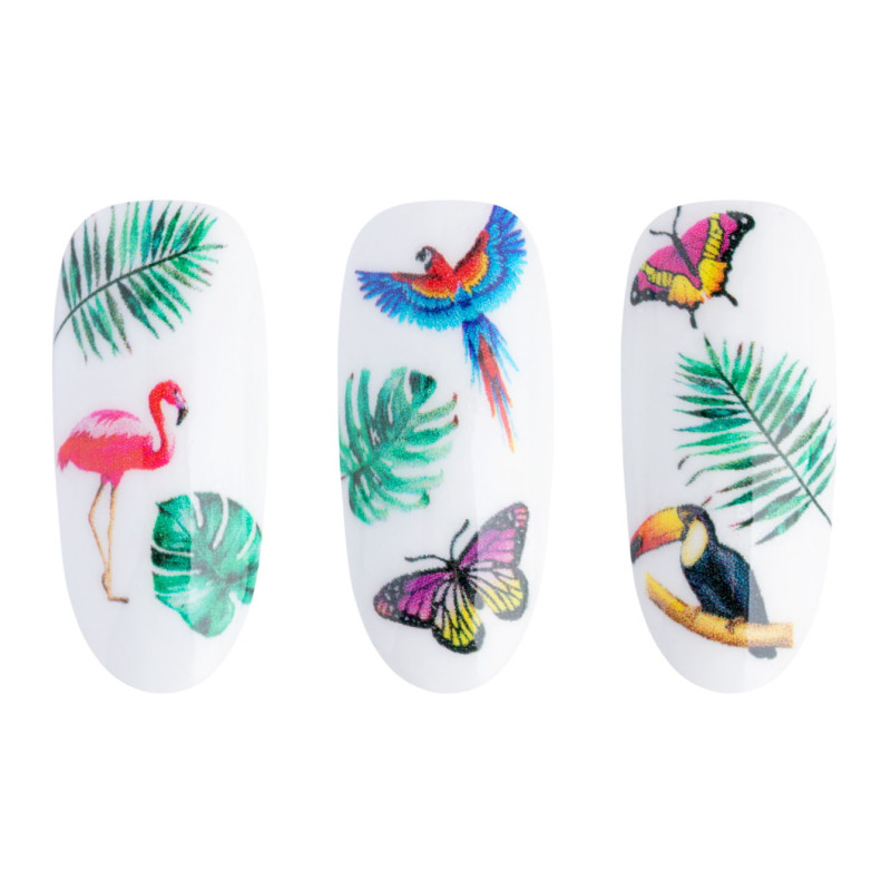 Water Sticker NN35 kaufen Water Sticker NN35 kaufen