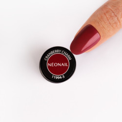 Cool Muse Collection Set Cool Muse Collection Set