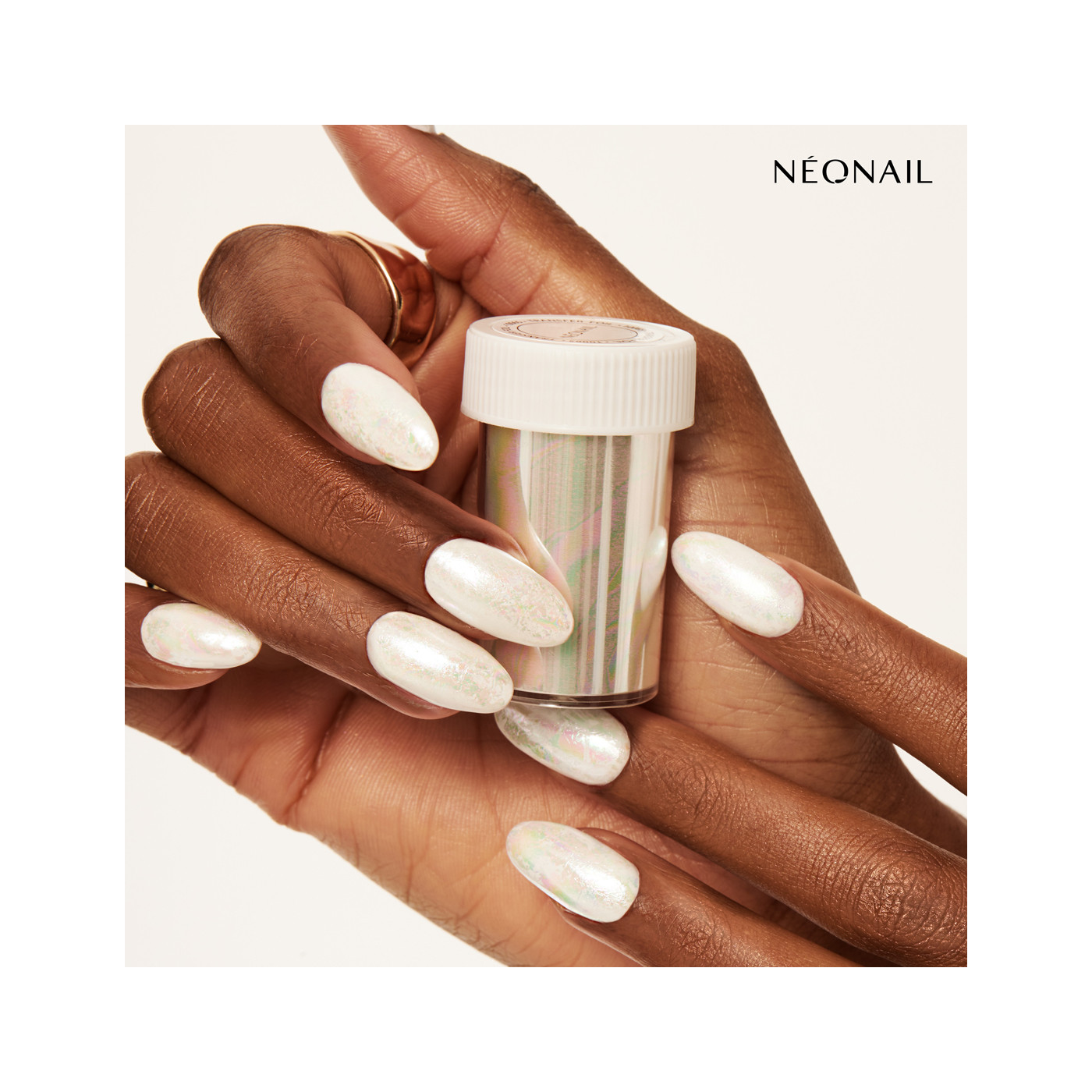 Transferfolie- 10 SEASHELL kaufen Transferfolie- 10 SEASHELL kaufen