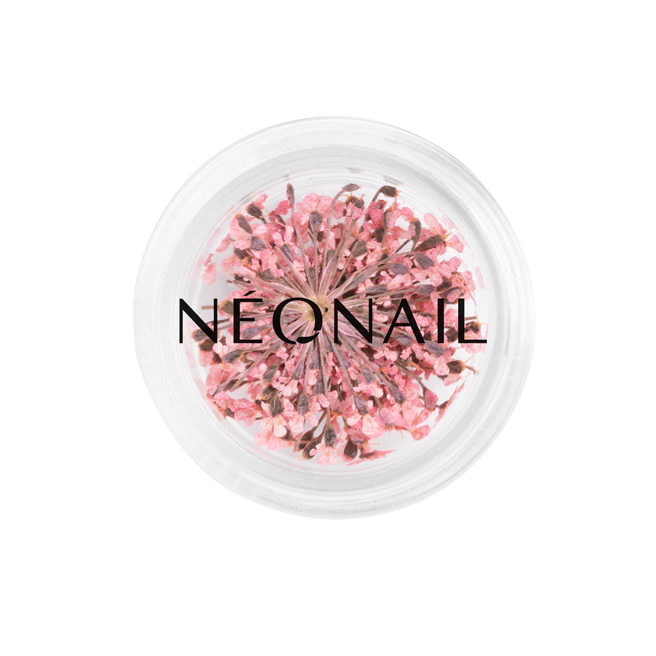 Neonail Rosa Dried Flowers 01 - Pink