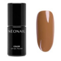 UV Nagellack Braun- Most Of (F)all kaufen