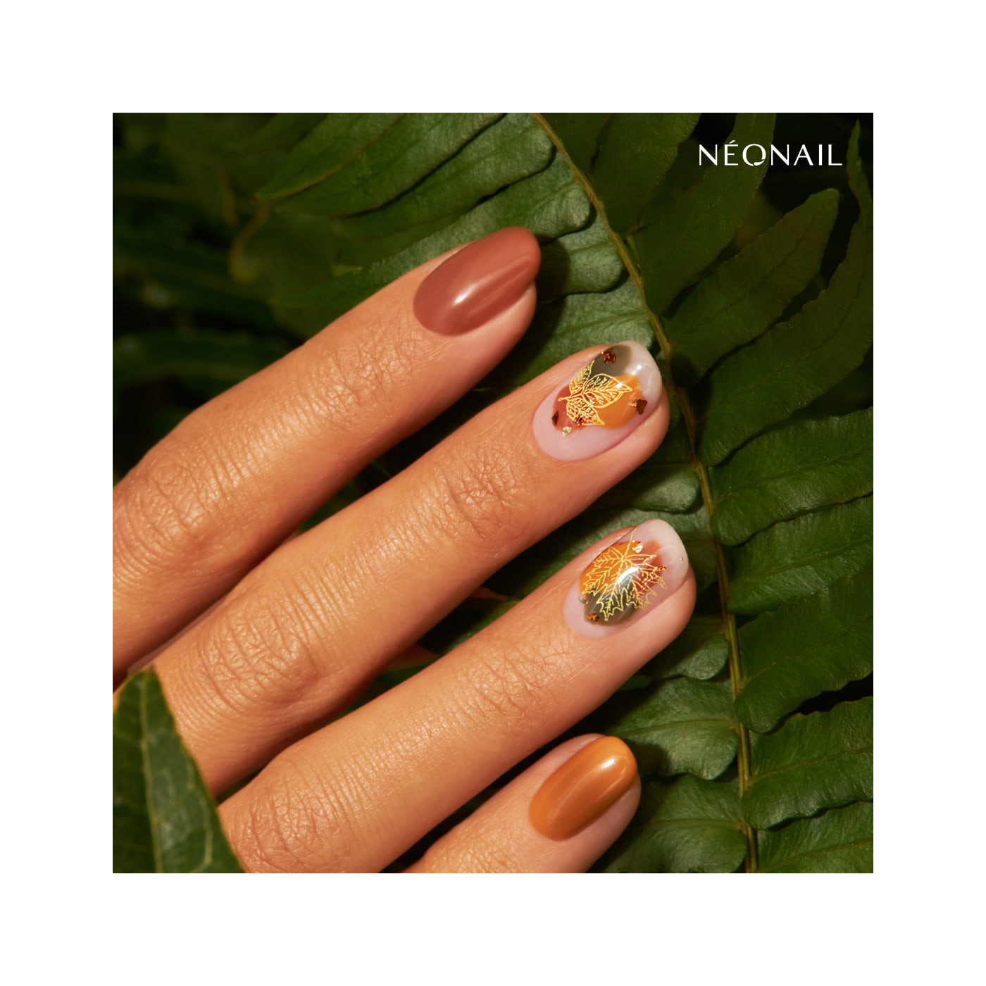 UV Nagellack Braun- Most Of (F)all kaufen