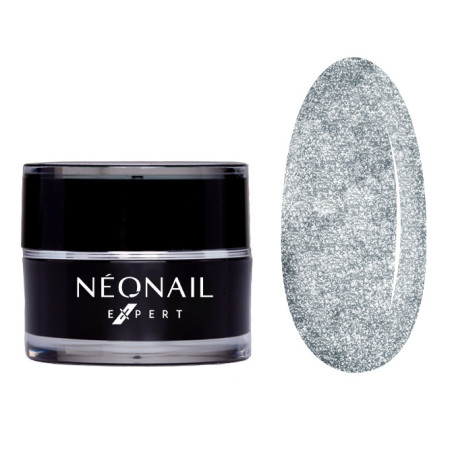 Paint UV/LED Gel NN Expert 5 ml - Metalic Silver