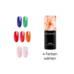 Endless Summer Bundle