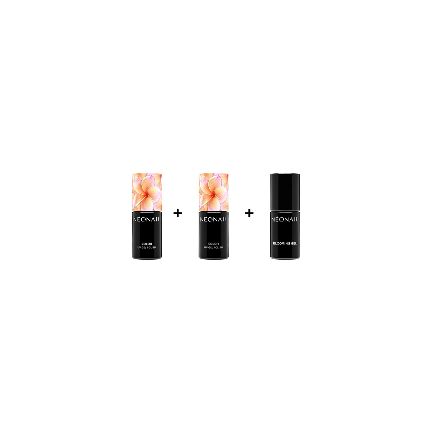 Blooming Summer Bundle Blooming Summer Bundle