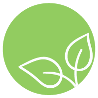 Logo Vegan