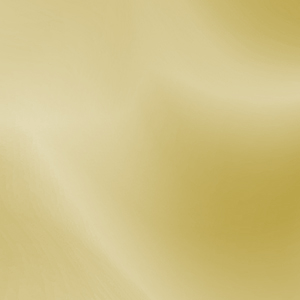 icon-879